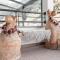 SCHMID Rooms & Apartments - Ischgl