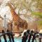 African Rock Lodge