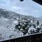 Escargot de Neige