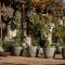 Avemore Olive Apartment - full Backup power
