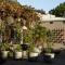 Avemore Olive Apartment - full Backup power - Stellenbosch