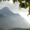 Sonnenblume -607-