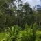 Río Verde Ecolodge - Puerto Jiménez