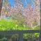 Red Mount guest house - 奥克兰