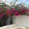 Bayt Lili Chic villa with private pool - Dubaj