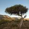 Samara Karoo Reserve
