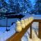 Snow Face - Hakuba