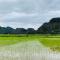 Ohayo Tam Coc Homestay - 宁平