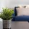 GuestReady - Miragaia Rooftop