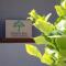 Lemon Tree boutique apartments - Private pool