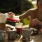 Green Land Bubble Glamping By Mint