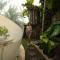 Green Land Bubble Glamping By Mint