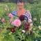 Flower Farm Glamping retreat in Suffolk - Ipswich