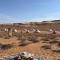 Desert Diamond Private Camp