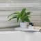 Ocean View Residence at W South Beach -514 - ميامي بيتش