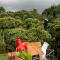 Casa campestre en el Eje Cafetero