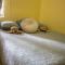 Destination Suites - The Trini Paradise - Tunapuna