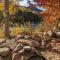 Deluxe little cabin 2 min stroll to Kern River - Кернвилл