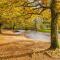 Fabulous cottage in the heart of the New Forest - Great for families and groups, sleeps 9 - Brockenhurst