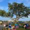 535 Cobby Creek - Johns Island