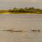 535 Cobby Creek - Johns Island