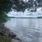 Bay Lake Lakefront Cabin to Enjoy - Deerwood