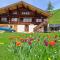Chalet Grittelihus near Interlaken, in a natural paradise
