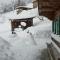 Holiday home Chalet Weberer