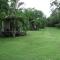 Pandanus on Litchfield