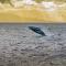 Shores of Maui 215 Dramatic Ocean Views Steps to the Beach Renovated AC 5964 - كيهي