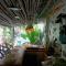 Mint hause