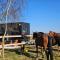 Tiny House Le Haras en Baie de Somme - Vron