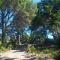 Buchan Estate and Self Catering