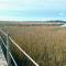 2109 Landfall Way - Seabrook Island
