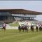 The Curragh Studio - The Curragh