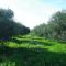 Casale Stagnone