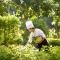 Nha Trang Marriott Resort & Spa, Hon Tre Island