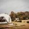 Boogaloo Camp