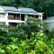 Wayanad Silverwoods Forest Resort & Spa
