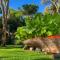 Arbatax Park Resort - Dune