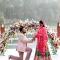 Wayanad Silverwoods Forest Resort & Spa