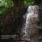 Wayanad Silverwoods Forest Resort & Spa