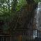 Wayanad Silverwoods Forest Resort & Spa