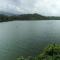 Wayanad Silverwoods Forest Resort & Spa