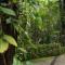 Wayanad Silverwoods Forest Resort & Spa