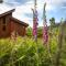 Strathyre, Ben Ledi Cabins - Forest Holidays - Callander