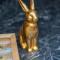 Special ROGER F RABBIT 4 Apartment, Roche Towers, 10-STAR - بازل
