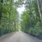 Old Wagon - Shenandoah Woods, Starlink Wi-Fi & Hot Tub
