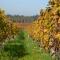 Le Clos Sainte-Marie photo 23