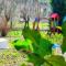 Agroturismo Quinta De Travancela